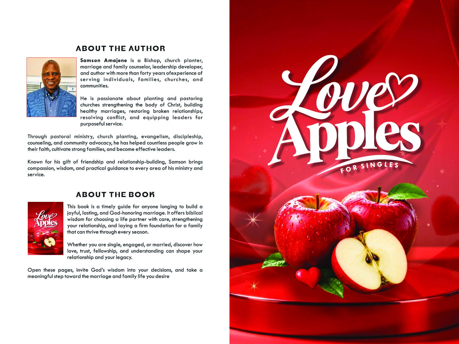 LOVE APPLES FOR SINGLES COVER